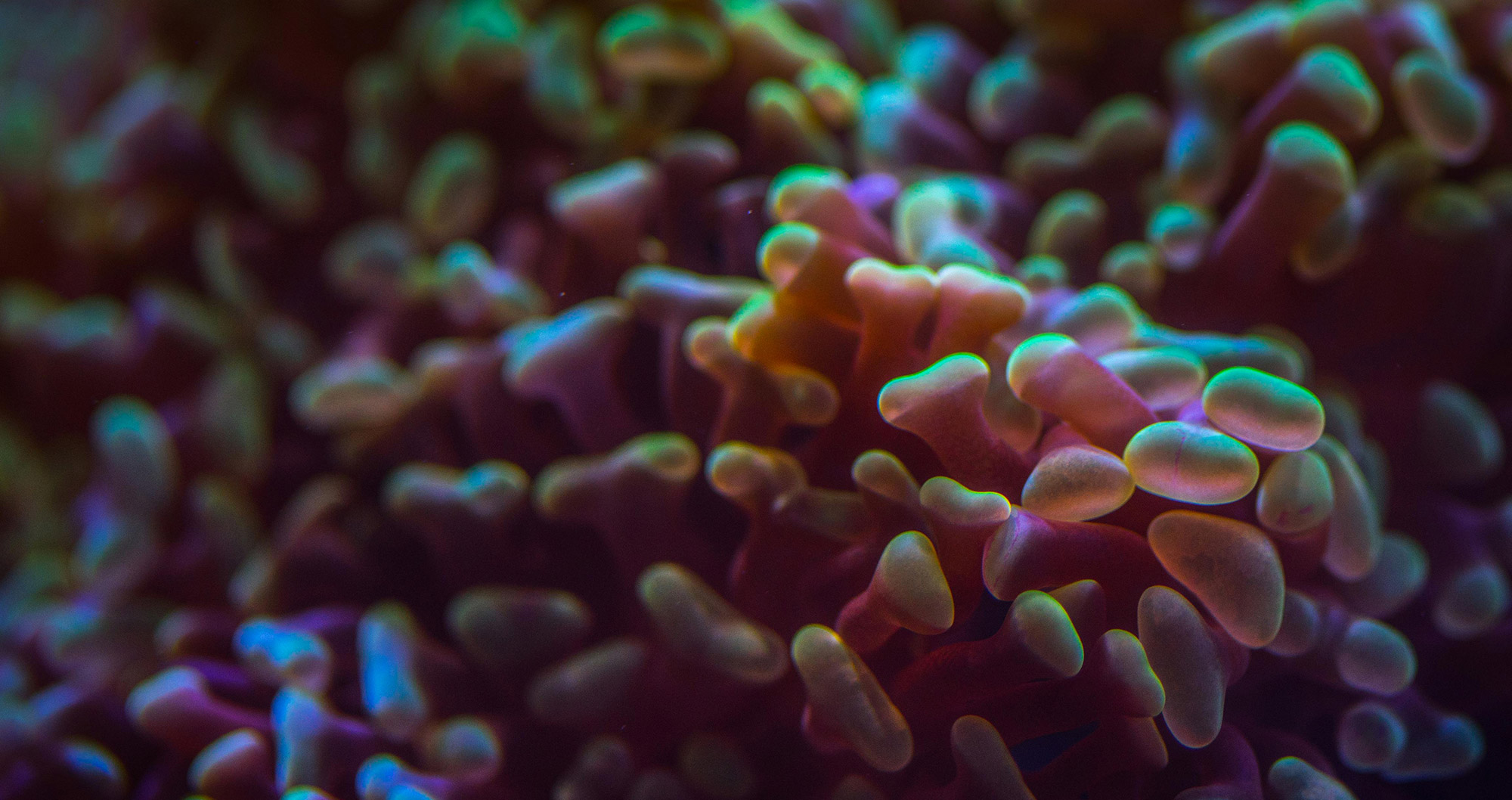 Our path to soil regeneration.